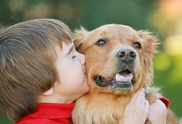 Mit der richtigen Hundehaftpflicht kann man den Hund etwas unbesorgter herumtollen lassen © Sonya Etchison / Fotolia