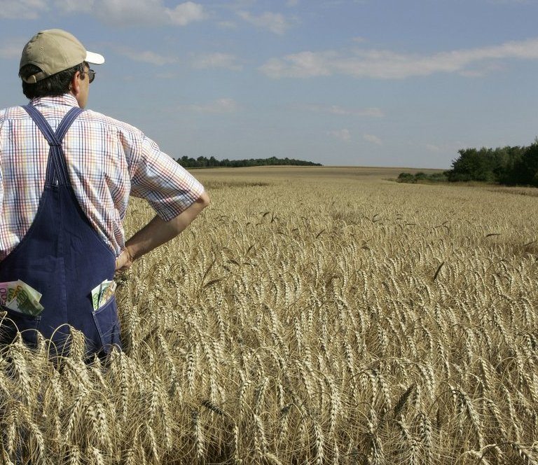 Ernteversicherung abgeschlossen? (© W-FOTO, Ernst Weingartner / Fotolia)